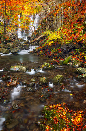 Autumn at Dardagna waterfalls, Corno alle Scale Regional Park, Lizzano in Belvedere, Bologna province, Emilia Romagna, Italy, Europe Stock Photo - Rights-Managed, Code: 879-09189215