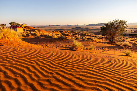 simsearch:862-03713108,k - The rippling red dunes of the world's oldest desert,Namib Naukluft National Park,Namibia,Africa Stock Photo - Rights-Managed, Code: 879-09189787