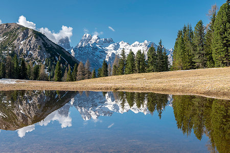 dolomiti - Prato Piazza/Plätzwiese, Dolomites, South Tyrol, Italy. The Cristallo massif is reflected in a pool on the Plätzwiese Foto de stock - Con derechos protegidos, Código: 879-09190703