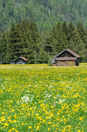 Mittenwald, district of Garmisch-Partenkirchen, Upper Bavaria, Germany, Europe. Stock Photo - Rights-Managed, Code: 879-09190712