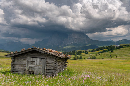 dolomiti - Alpe di Siusi/Seiser Alm, Dolomites, South Tyrol, Italy. Storm clouds over the Sassolungo Stock Photo - Rights-Managed, Code: 879-09190742