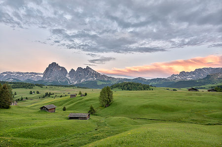 dolomiti - Alpe di Siusi/Seiser Alm, Dolomites, South Tyrol, Italy. Dusk on the Alpe di Siusi/Seiser Alm with the peaks of Sassolungo and Sassopiatto Stock Photo - Rights-Managed, Code: 879-09190788