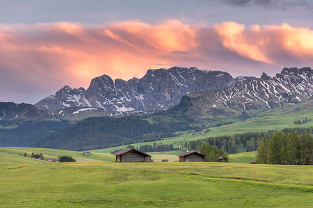 rosengarten - Alpe di Siusi/Seiser Alm, Dolomites, South Tyrol, Italy. Dusk on the Alpe di Siusi/Seiser Alm with the peaks of Catinaccio Stock Photo - Rights-Managed, Code: 879-09190789