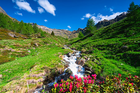 scenic and waterfall - Valle delle Messi, Ponte di Legno, Brescia province, Lombardy district, Italy. Foto de stock - Con derechos protegidos, Código: 879-09191068