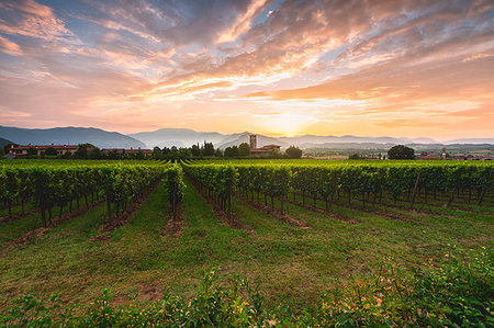 sunset mountains - Summer season in Franciacorta, Lombardy district, Brescia province, Italy, Europe. Stock Photo - Rights-Managed, Code: 879-09191105