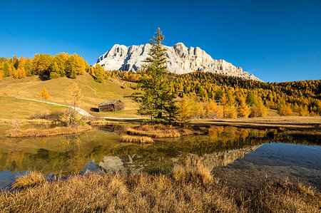 Armentara meadows. View towards Sas dla Crusc. Alta Badia, Alto Adige, italy. Stock Photo - Rights-Managed, Code: 879-09191126