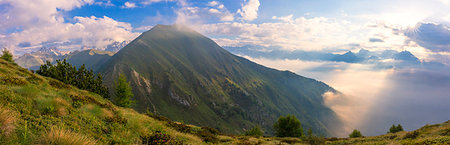 Panoramic of Monte Disgrazia and Sasso Canale from Monte Rolla, Sondrio province, Valtellina, Rhaetian Alps, Lombardy, Italy Photographie de stock - Rights-Managed, Code: 879-09191476