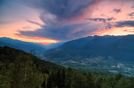 sunset mountains - Sunset on Teglio and Bianzone seen from green woods of Pian di Gembro, Aprica, Sondrio province, Valtellina, Lombardy, Italy Stock Photo - Rights-Managed, Code: 879-09191483