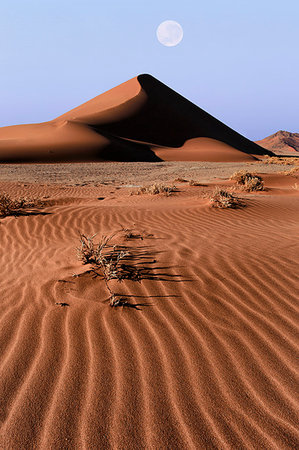 simsearch:862-03365353,k - Dune at sunrise in Sossusvlei area, Namib Naukluft National Park, Namibia Stock Photo - Rights-Managed, Code: 879-09191532