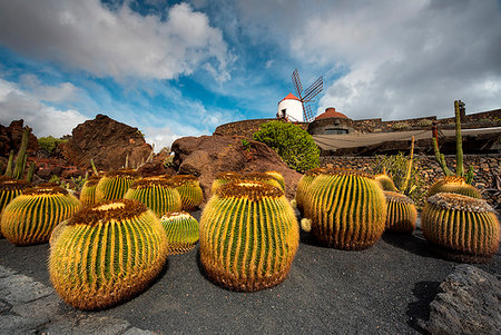 Jardín de Cactus, designed by Cesar Manrique, Lanzarote, Canary island, Spain, Europe Stock Photo - Rights-Managed, Code: 879-09191801