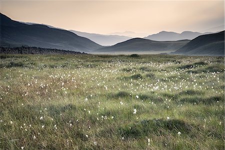 View along countryside fields towards misty Snowdonia mountain range in distance. Foto de stock - Con derechos protegidos, Código: 872-08246103