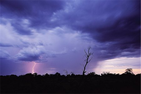 Lightning in Night Sky Stock Photo - Rights-Managed, Code: 873-06440273