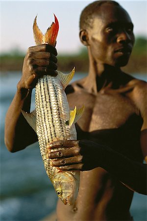 sportfishing - Man Holding Tiger Fish Outdoors Zambezi River, Zimbabwe, Africa Stock Photo - Rights-Managed, Code: 873-06440396