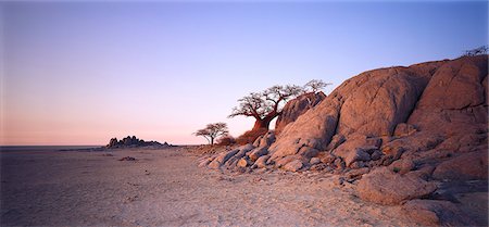 Kubu Island Makgadikgadi Pans Botswana Stock Photo - Rights-Managed, Code: 873-06752690