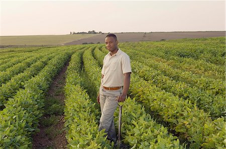 people in johannesburg - Man standing in vegetable field with hoe Stock Photo - Rights-Managed, Code: 873-07156683