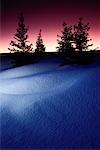Silhouette der Bäume mit Schneeverwehungen bei Dämmerung Alberta, Kanada