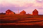 Barns in Sunset Colwells Wharf, New Brunswick Canada