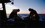 Hauling in Lobster Traps Nova Scotia, Canada