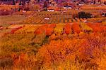 Summerland im Herbst British Columbia, Kanada