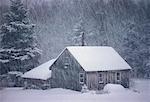 Verschneite Hütte und Schneefall, Shampers Bluff New Brunswick, Kanada