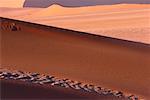 Les Dunes de sable de Namibie