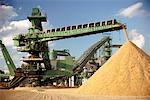 Pulpmill Wood Chips