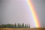 Rainbow Rural Alberta, Canada