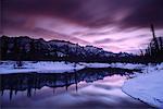 Dawn Jasper Nationalpark, Alberta, Kanada