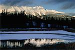 Le Parc National Jasper (Alberta), Canada