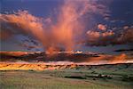 Dune Point at Dawn Red Deer River Valley Alberta, Canada