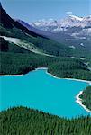 Peyto Lake Banff National Park Alberta, Canada