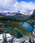 Lac o ' Hara région le Parc National Yoho en Colombie-Britannique, Canada