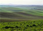 Terres agricoles Whitman County Washington, USA