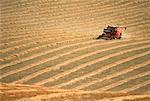 Harvesting with Combine Alberta, Canada