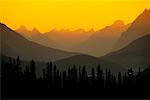 Parc National Jasper au coucher du soleil (Alberta), Canada
