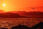 Long Beach bei Sonnenuntergang Vancouver Island in British Columbia