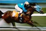 Jockey Racing a Thoroughbred Horse