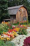 Jardin fleuri et la grange Shampers Bluff, Nouveau-Brunswick Canada