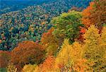 Great Smoky Mountains National Park en automne en Caroline du Nord, USA