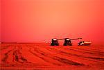 Harvesting Wheat at Sunset Saskatchewan, Canada