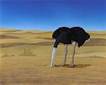 Illustration of Ostrich with Head In Sand