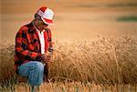 Farmer Checking Crops