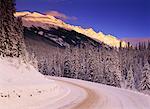 Queen Elizabeth Range und Maligne Lake Road Jasper Nationalpark, Alberta, Kanada