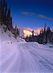 Maligne Lake Road Parc National Jasper (Alberta), Canada