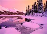 Queen Elizabeth Range Maligne Lake, Jasper Nationalpark, Alberta, Kanada