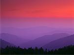 Paysage au crépuscule Kings Canyon National Park, Californie, USA