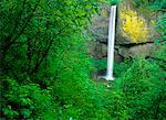 Latourell Falls Columbia River Gorge Oregon, USA