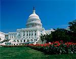 The Capitol Building Washington, DC, USA