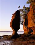 Blumentopf Felsen, Hopewell Cape New Brunswick, Kanada