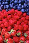 Bleuets, framboises et fraises